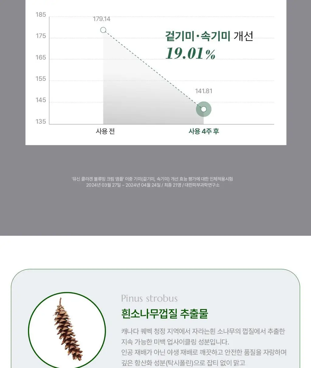 [광채탄력] 클리어디어 뮤신 콜라겐 볼류밍 크림 앰플 4ml 2개입 상세페이지 18